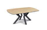 TABLE BASSE KANSY (2)